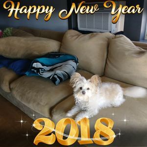 Meet your Posher, Denise